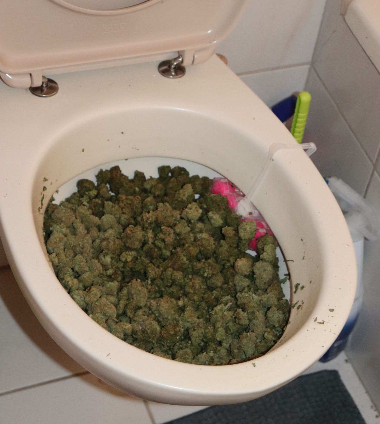 Randalierer versuchte Polizeibeamten die Treppe hinunter zu stoßen und seinen Marihuana Vorrat in der Toilettenschüssel zu entsorgen