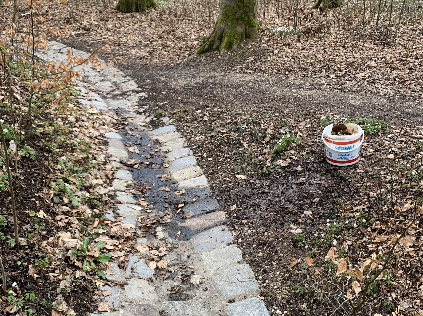 Mehrere Liter Altöl versickerten im Waldboden Foto: Polizei Amberg