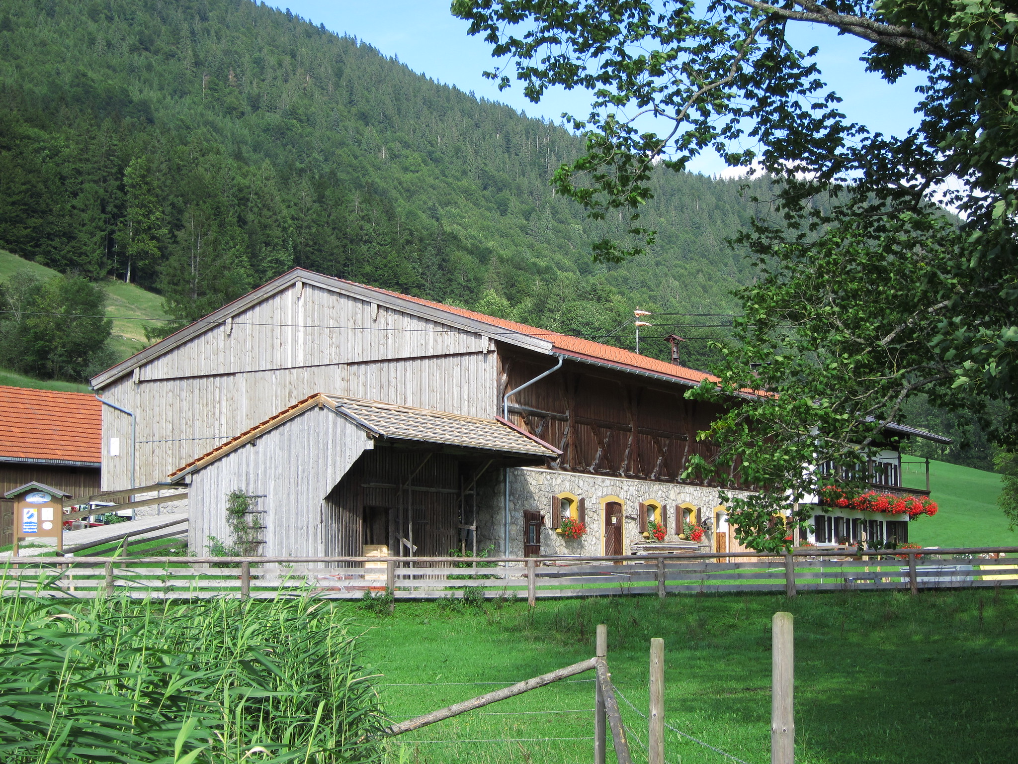 Verendete Tiere auf Bauernhof im Landkreis Amberg-Sulzbach