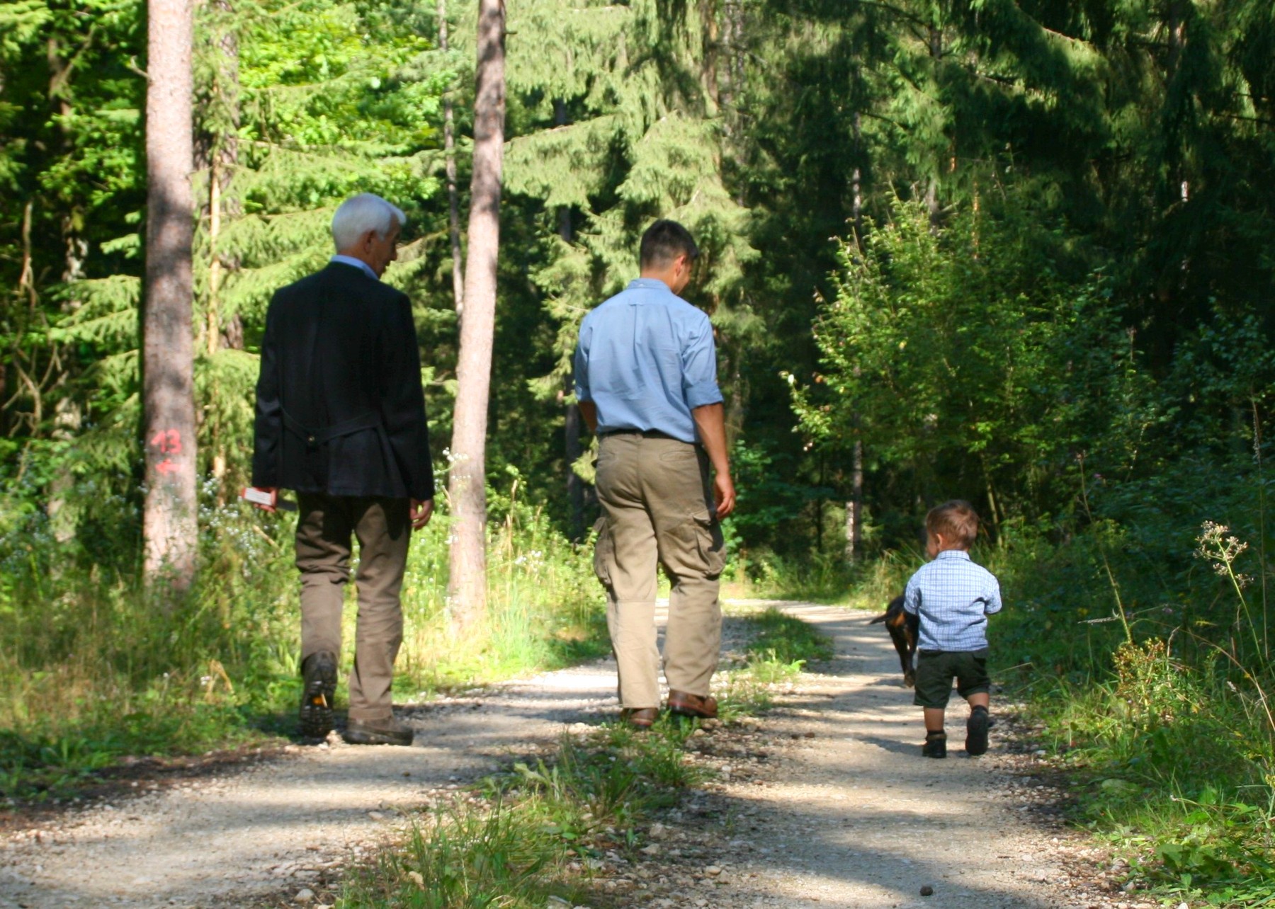 Zukunftsthema Wald im Kino