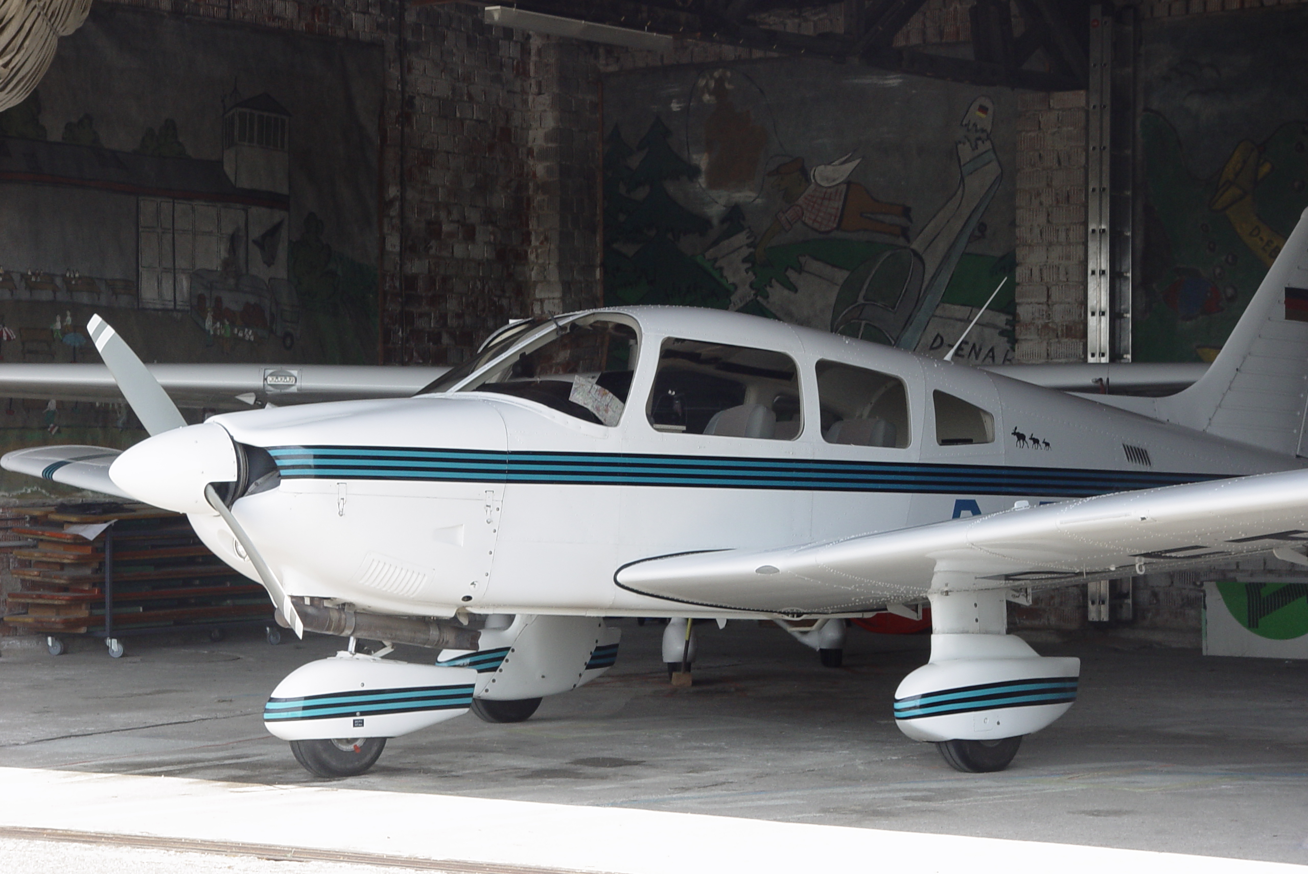 Flugzeug zur Waldbrandbeobachtung Foto: © Pressedienst Wagner