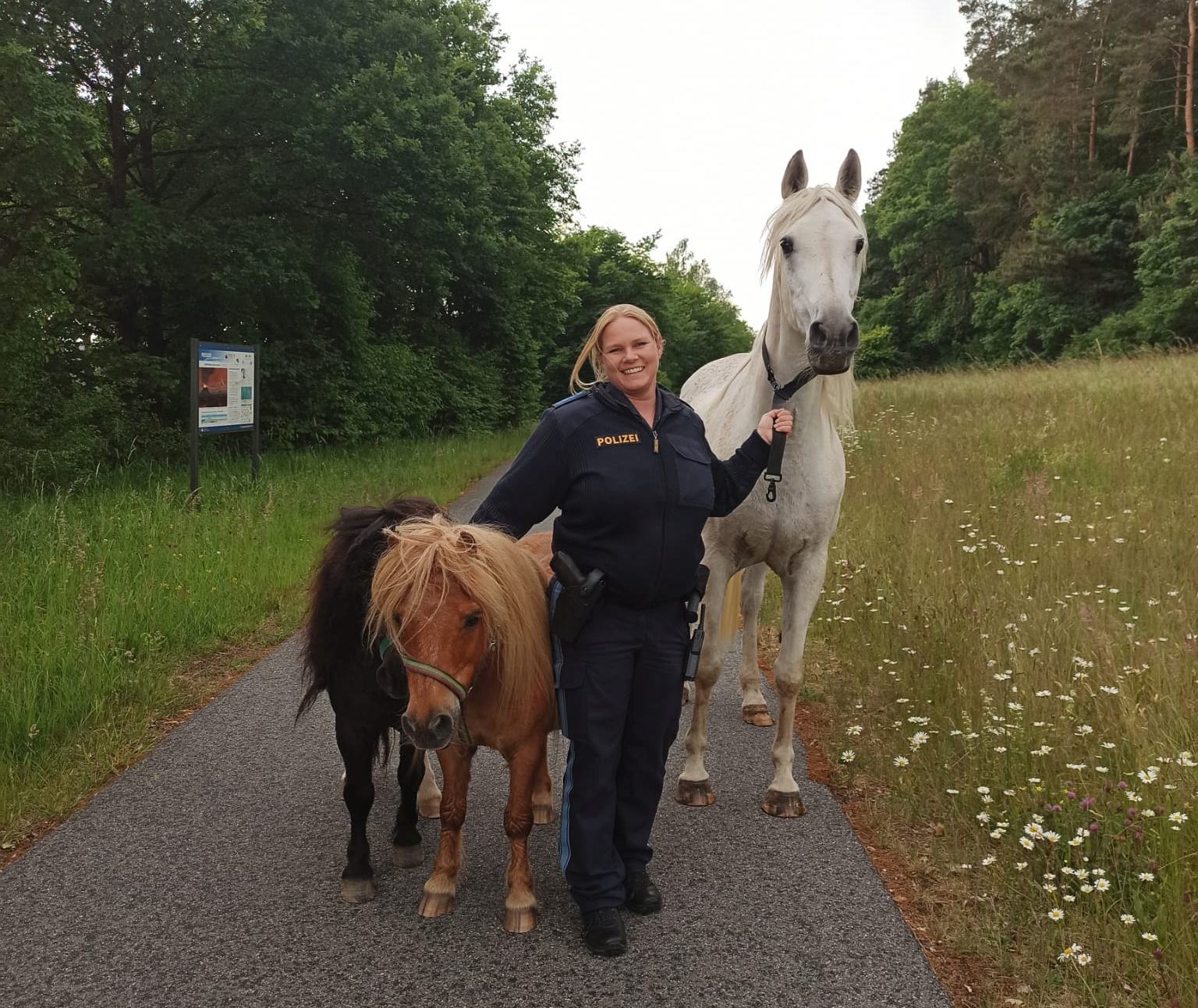 Dank der Beamtin konnten die drei Pferde wieder eingefangen werden Foto: Polizei Eschenbach