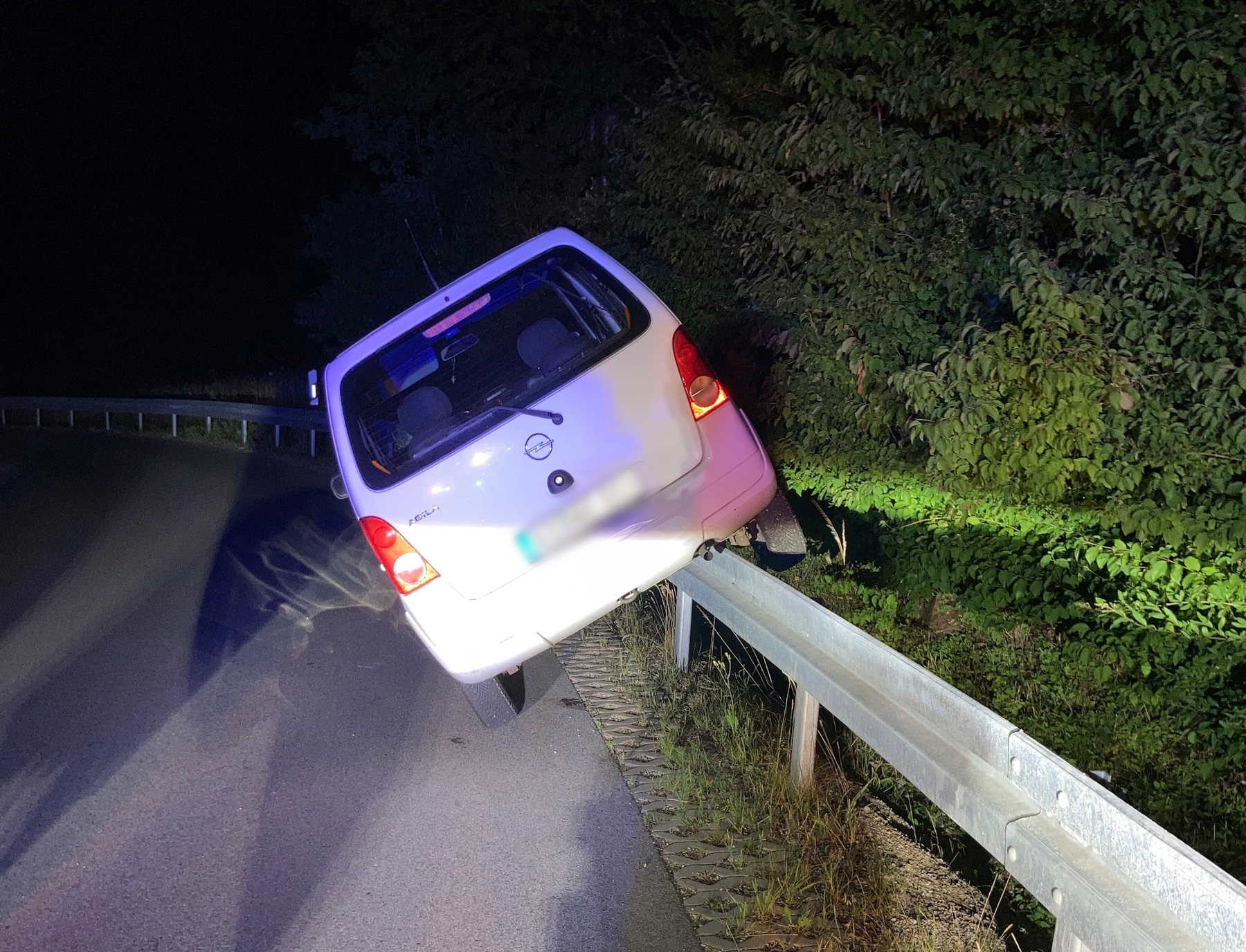 Der betrunkene Fahrer  flüchtete zunächst zu Fuß Foto: Polizei Sulzbach-Rosenberg