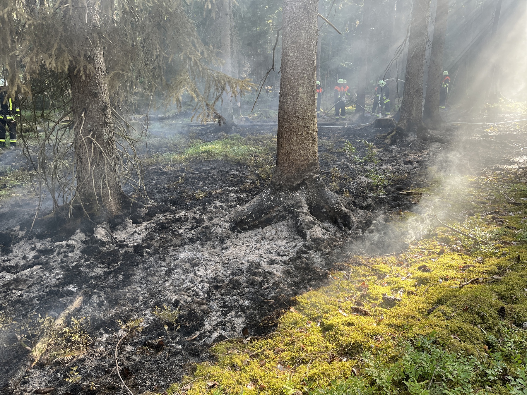 Etwa 100 qm Wald brannten bei Hohenburg Foto: Polizei Amberg