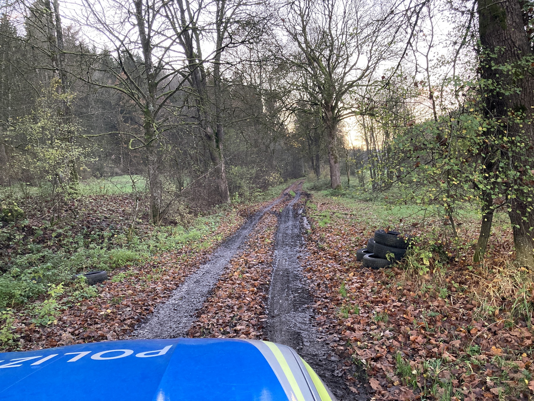 Umweltsünder entsorgt Altreifen im Wald