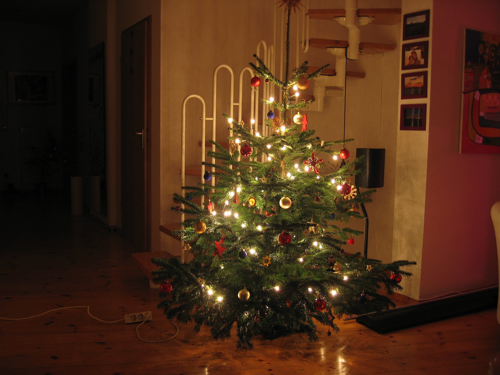 Wohin mit dem Weihnachtsbaum?