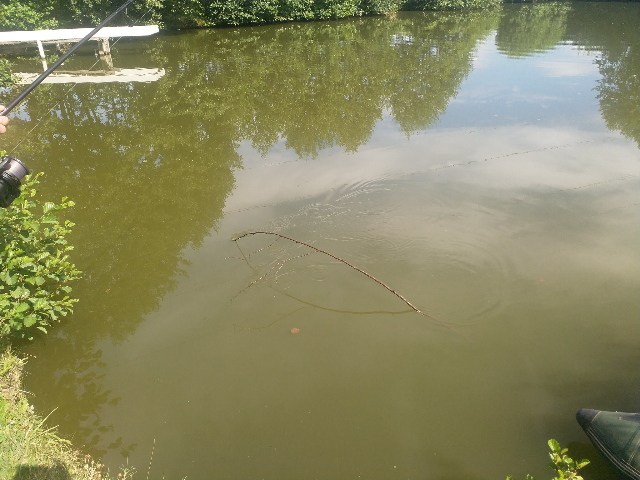 Weiher abgelassen und Tiere entwendet