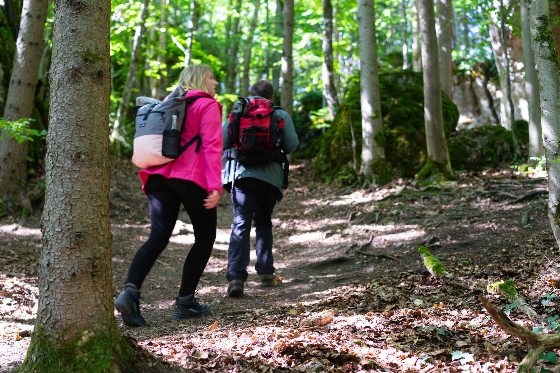 Im Landkreis Amberg-Sulzbach lässt es sich ausgezeichnet wandern Foto: Carolin Thiersch