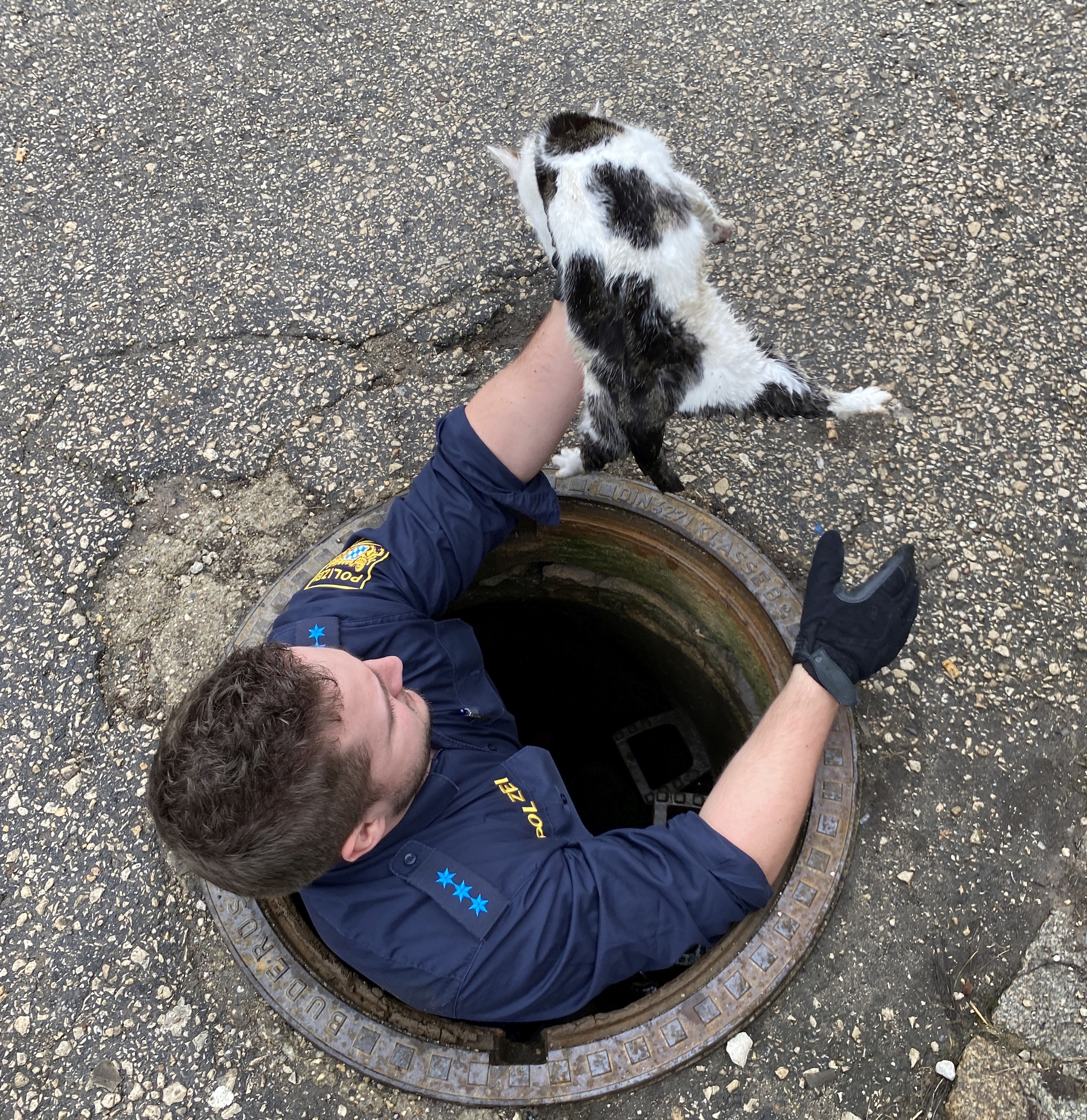Katze aus Kanal gerettet
