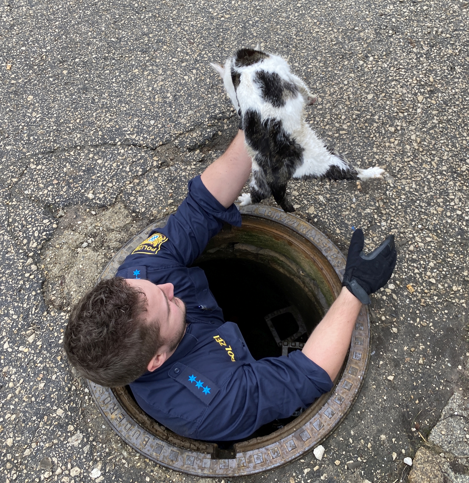 Polizeiobermeister Janos Schneck rettete die Katze aus dem Kanal Foto: Polizei Sulzbach-Rosenberg