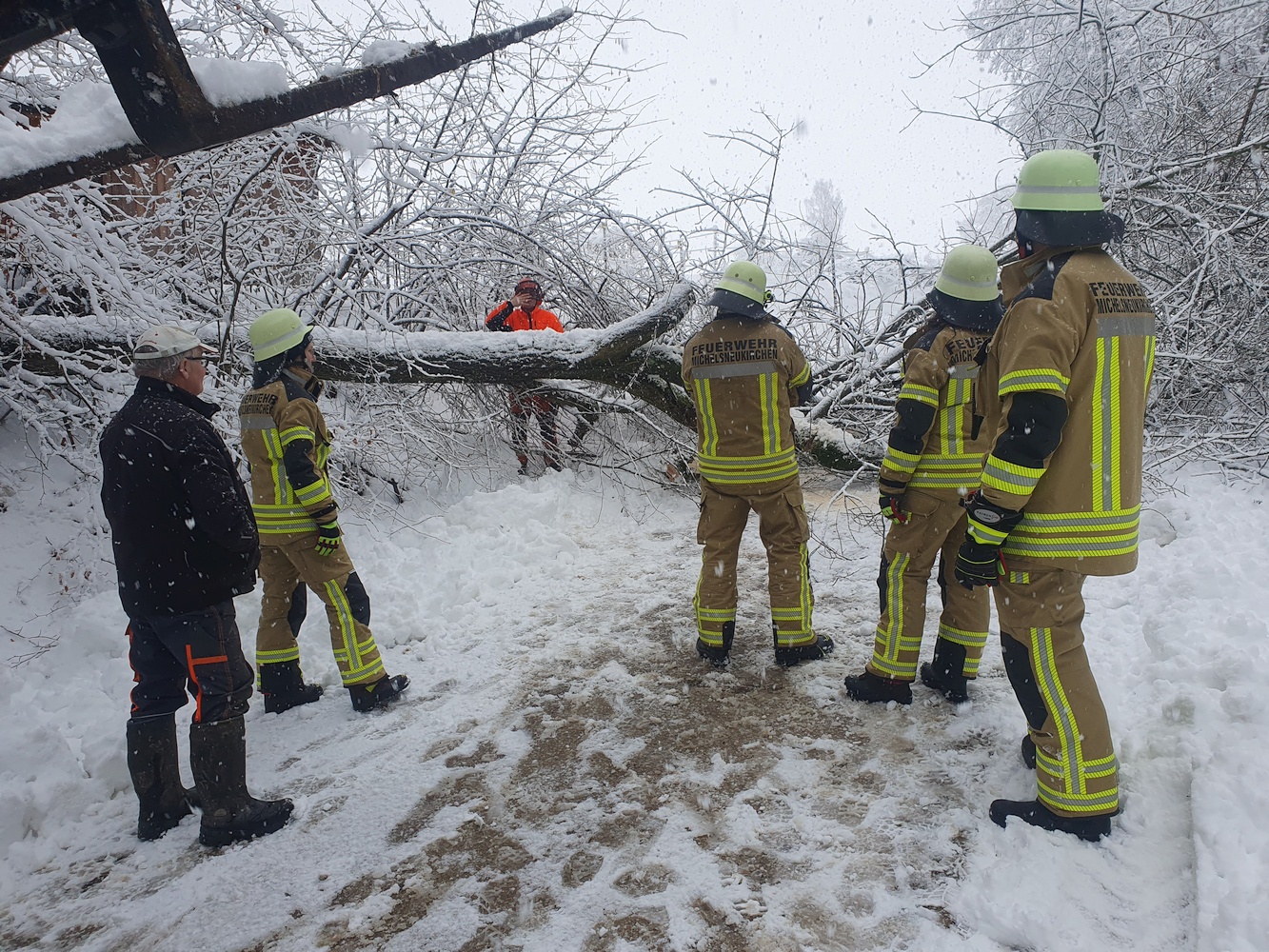 Schneebruch im westlichen Landkreis Cham