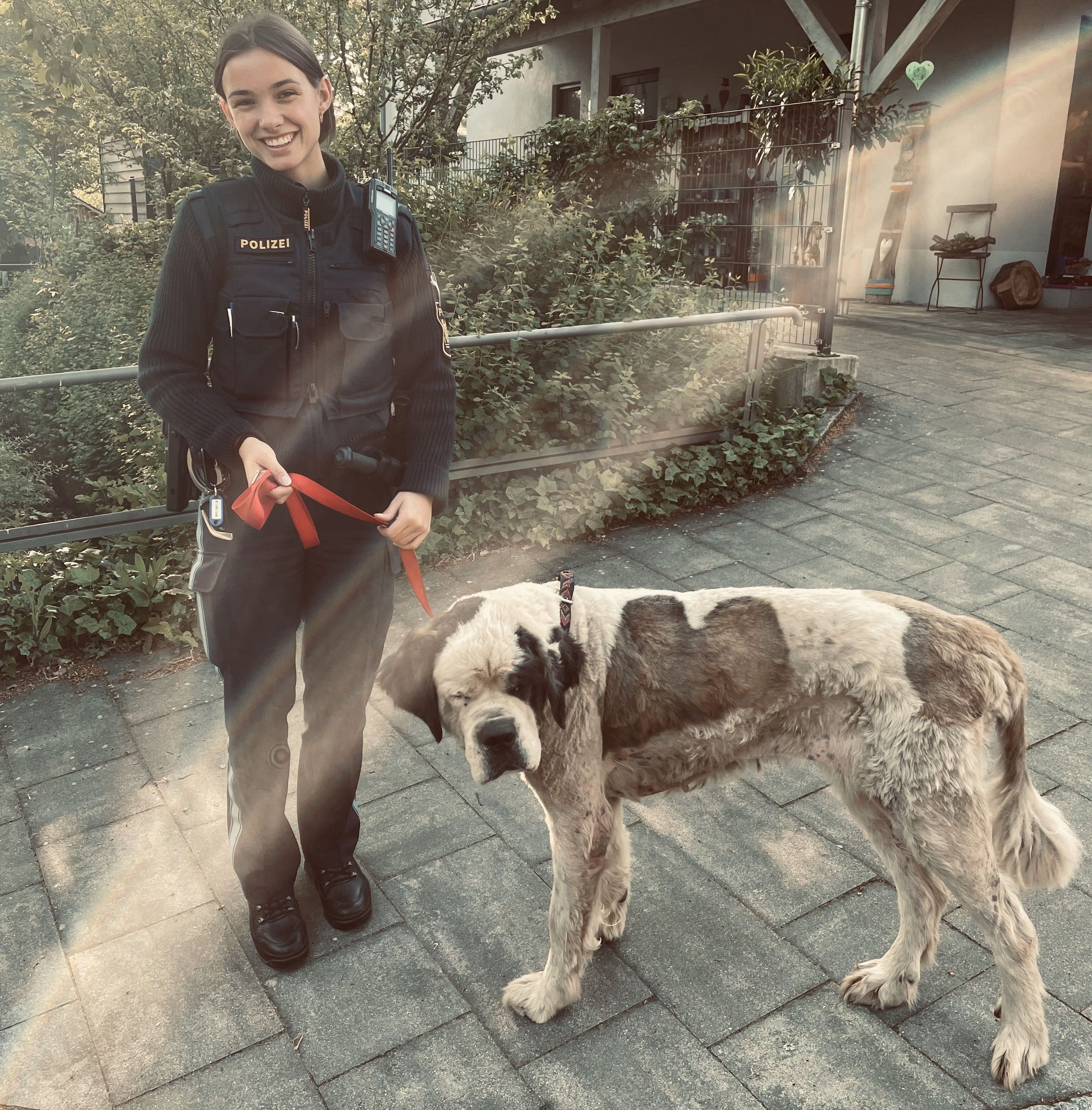 Polizeioberwachtmeisterin Fabienne Laden mit dem Bernhardiner Quelle: Polizei Sulzbach-Rosenberg
