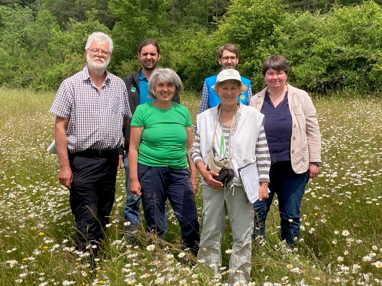 „Juryrundgang Wiesenmeisterschaft 2023 – Jurymitglieder“, von links nach rechts: Harald Gebhardt, Amt für Landwirtschaft, Ernährung und Forsten Amberg-Neumarkt; Josef Schmid, Landwirt und Wiesenmeister von 2014; Christine Hertrich, BUND Naturschutz in Bayern e.V., Agrarreferentin; Inge Steidl, Landschaftsplanerin; Tobias Maul, Höhere Naturschutzbehörde, Regierung der Oberpfalz; Dr. Sabine Heinz, Bayerische Landesanstalt für Landwirtschaft Foto: Artur Schmidt