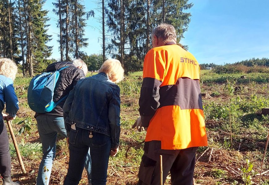 Mit Pflanzpartys gegen die Klimakrise