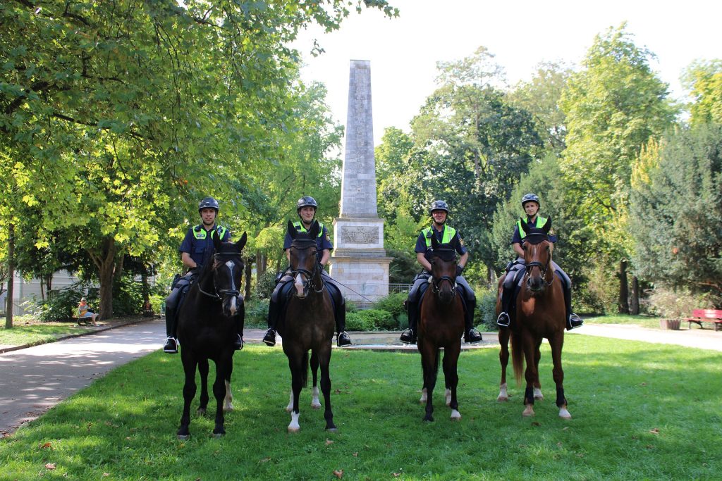 Polizeireiter im Fürst-Anselm-Park Quelle: PI Regensburg Süd