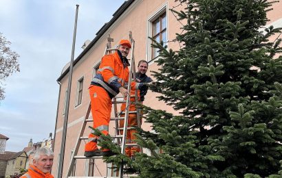 Vorweihnachtliche Stimmung im Landratsamt