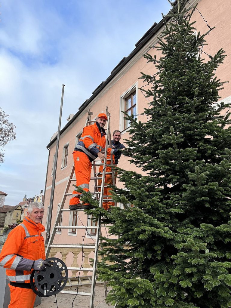 Mitarbeiter des Bauhofs stellen den sechs Meter hohen Baum auf dem Balkon des Landratsamtes auf und behängen ihn mit einer Lichterkette. V.li.: Markus Schwab, Thomas Scharl und Andreas Hirsch Foto: Christine Hollederer