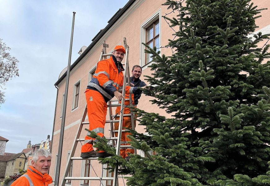 Vorweihnachtliche Stimmung im Landratsamt