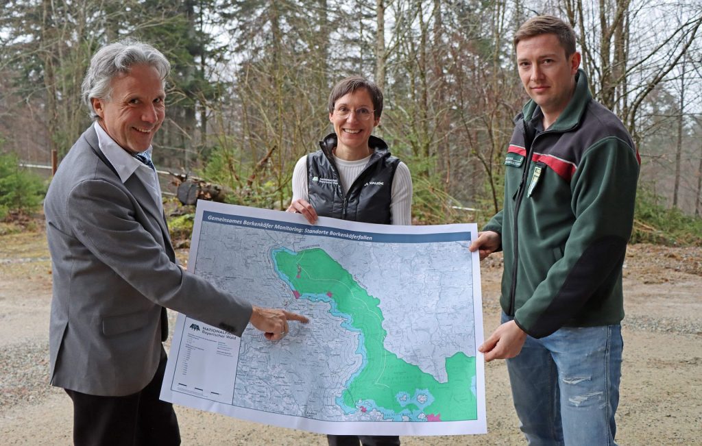 Freuen sich über eine noch intensivere Zusammenarbeit: Dr. Peter Pröbstle, Präsident der Landesanstalt für Wald und Forstwirtschaft, Nationalparkleiterin Ursula Schuster und Christoph Salzmann vom Amt für Ernährung, Landwirtschaft und Forsten Regen. (Foto: Nationalpark Bayerischer Wald)