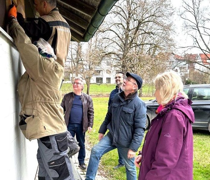 Der Frühling ist da und damit auch die Vögel….